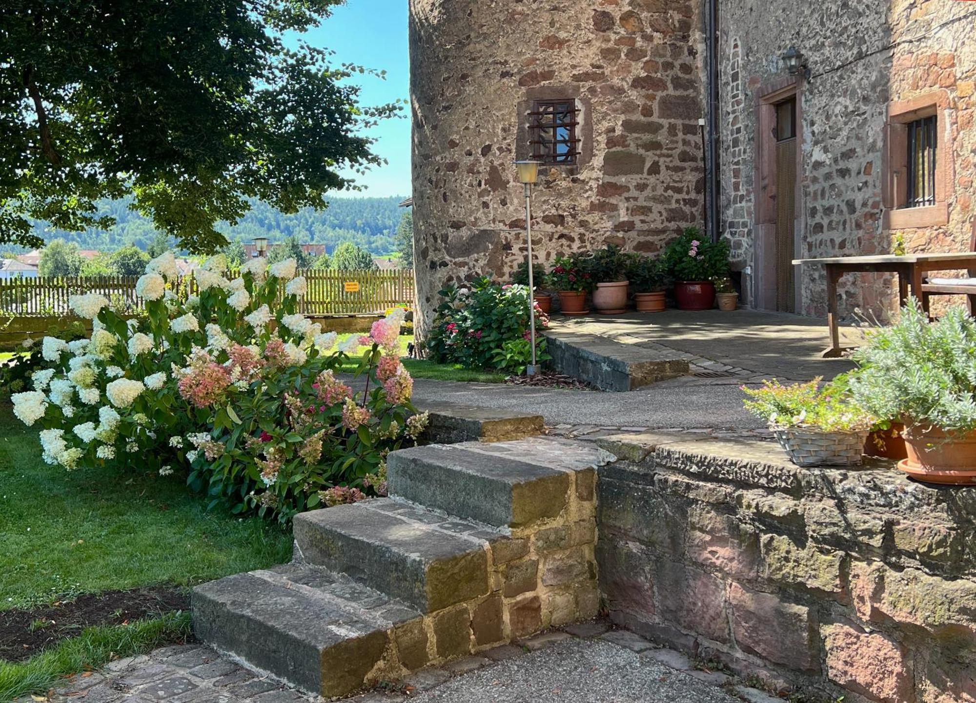 Graefin Anna - Design-Apartment In Der Historischen Hinterburg Schlitz - Nahe Fulda Und Bad Hersfeld Exterior foto