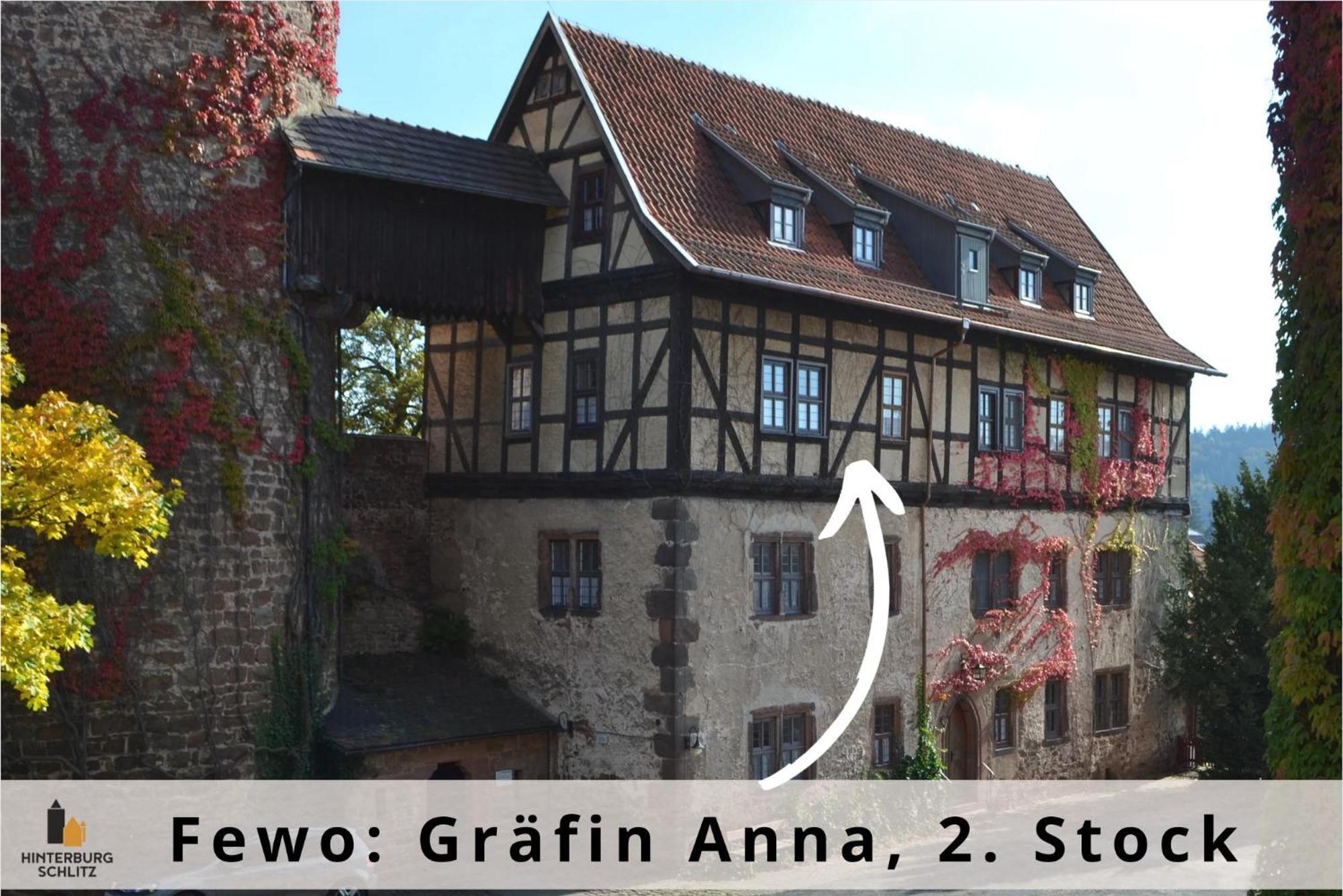 Graefin Anna - Design-Apartment In Der Historischen Hinterburg Schlitz - Nahe Fulda Und Bad Hersfeld Exterior foto